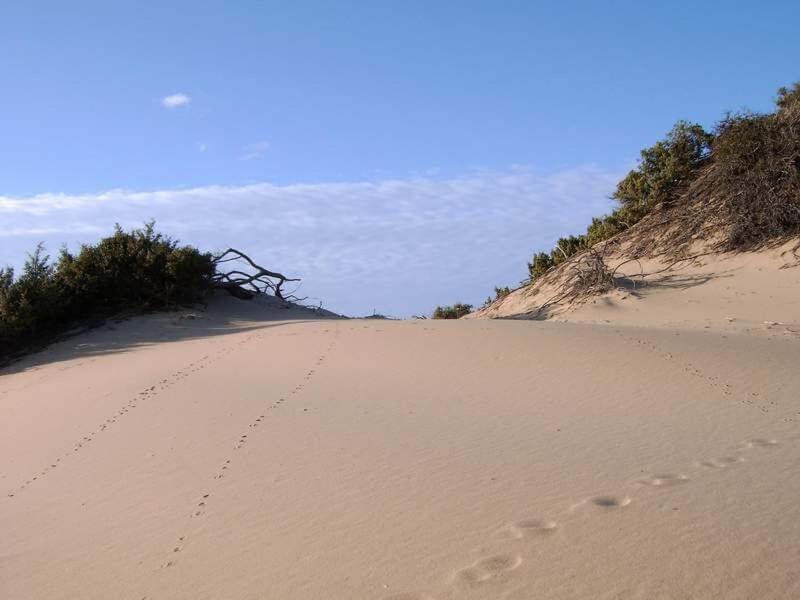 Turismo Rurale La Miniera Fiorita Arbus Buitenkant foto